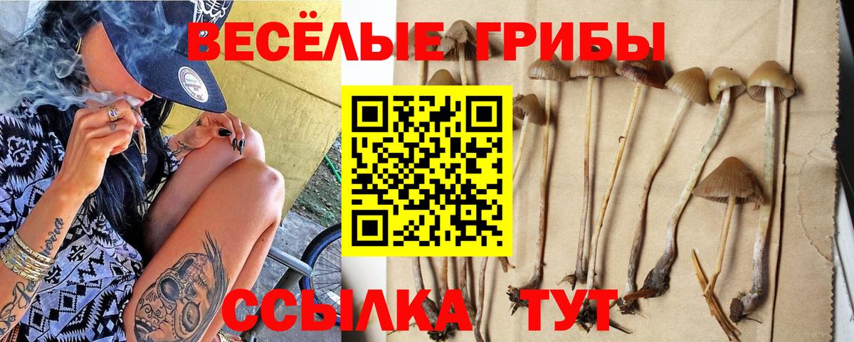 Отрадный  Галлюциногенные грибы мухоморы  купить наркоту  Вход с VPN 