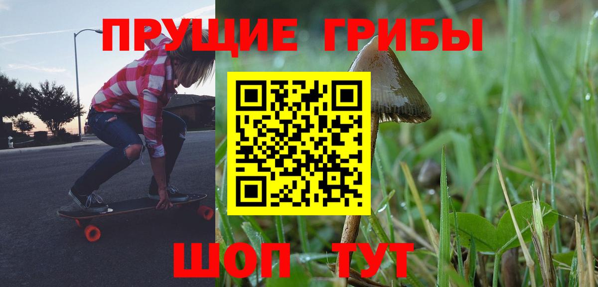 Галлюциногенные грибы Psilocybe Отрадный